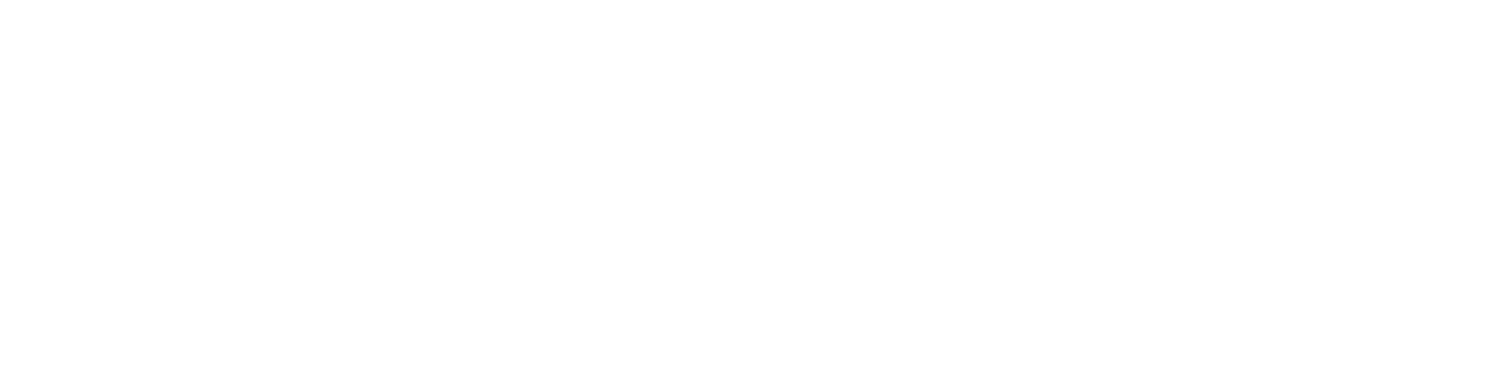 logo cielo bellora